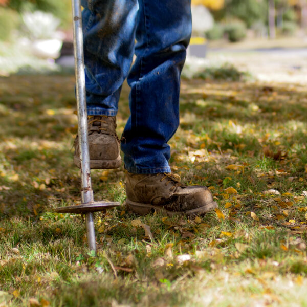 Deep root injection services provides fertilization deep into the soil.
