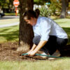 Board Certified Master Arborist® Amy Langbein Heath demonstrates how to water a tree during a drought.